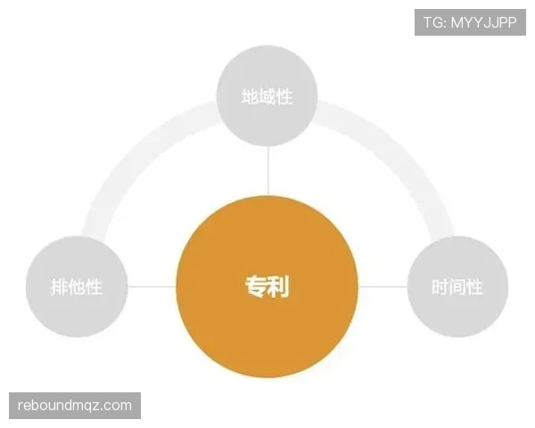 黄牌警告的判罚条件与常见误区解析
